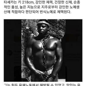 19세기에 존재했던 번식 노예
