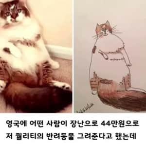 커미션 받아요, 단돈 44만원