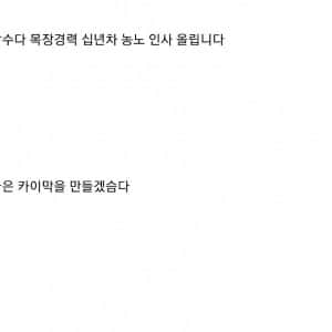 튀르키예 카이막을 직접 만들어본 사람