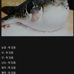 안 먹히려고 미친듯이 진화한 생물