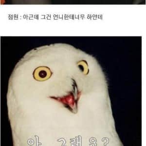 괜히 들어갔다가 기죽고 나오는 장소 3곳