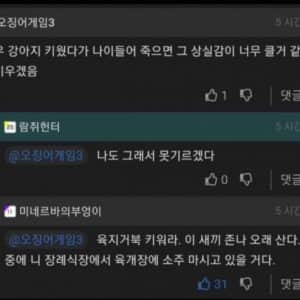 상실감때메 강아지 못 키우겠다는 사람들 꿀팁