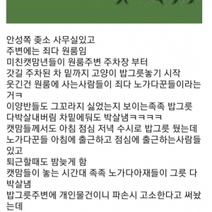 노가다꾼이랑 좆소사장의 캣맘 대처법 