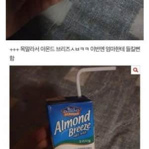 새벽에 몰래 복숭아 먹는 중