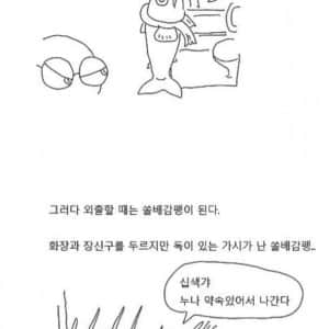 누나는 고등어에 비유할 수 있다