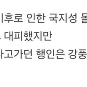 시속 133km 강풍에 노상 까다가 날아간 중국 남자들