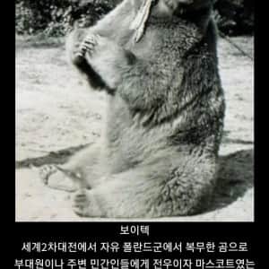 모르면 간첩의 실제사례 