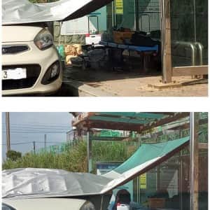 최근자 난리난 캠핑족 근황