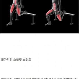 은근히 개빡세다는 하체 운동