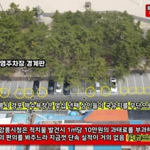 2025년 해수욕장에서 벌어지고있는일