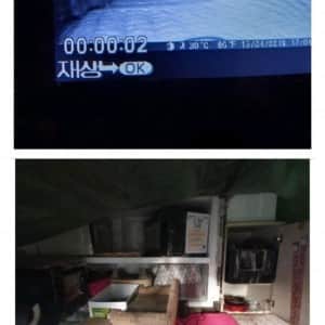 결국 쥐맘이 되어버린 캣맘