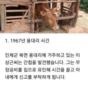 간첩 신고 포상금 TOP 5 