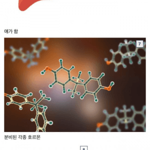 간이 개쩌는 장기인 이유 
