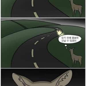 운전을 잘해도 소용없는 이유