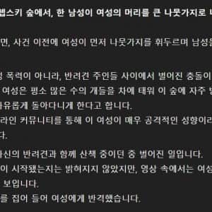 목줄없이 산책시키던 여자의 최후