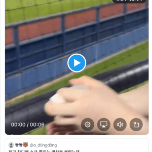 야구장에 소금 뿌렸다가 사과문 쓴 여성