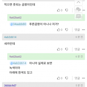 치즈에 난 곰팡이는 먹어두되지?