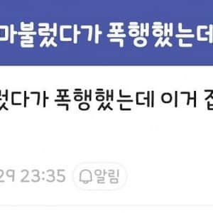 디시 징역 갤러리 출장안마 후기