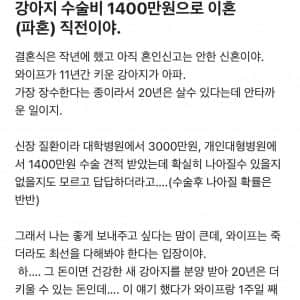 강아지 수술비 1,400만원 때문에 이혼 직전인 공무원 