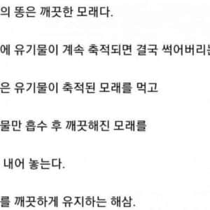 해삼이 모래를 만드는 과정