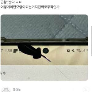 나 폰 액정이 나갔는데 너무 흉측해