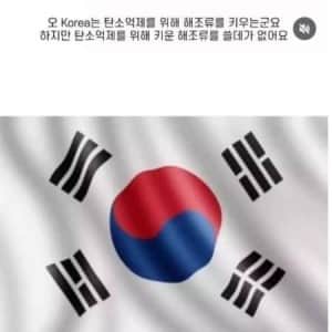 한국을 너무 쉽게 봤던 국제기구