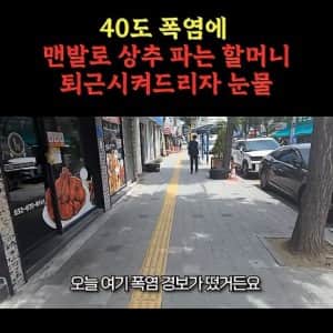 40도 폭염에 길거리에서 상추파는 할머니
