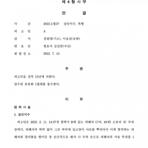 살인미수로 12년 받은 정신나간 캣맘(대디) 