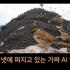 '러브버그의 천적은 참새다'의 진실