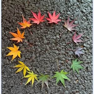 사진 한 장을 위해 온 산을 다 돌아다닌 사람