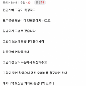 길고양이 내 차 엔진룸에 들어가 죽었을때 꿀팁