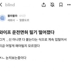 와이프 운전면허 필기 떨어졌다