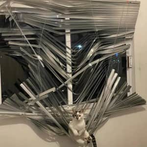 ??? : 뭘봐
