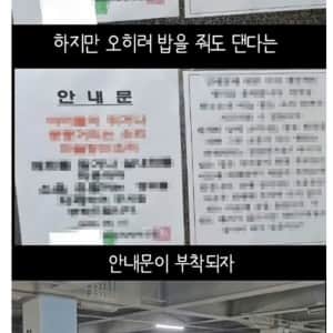 캣맘들이 사라진 아파트