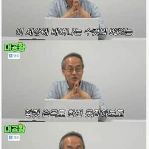 딸만 치다가 저승가는 수컷비율