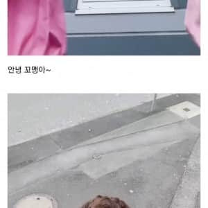키 175가 독일가면 생기는일