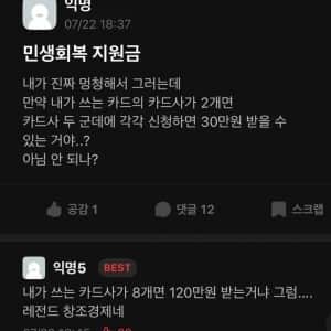 민생 쿠폰 카드사 2개인데 30만원 받을 수 있지 않음? 