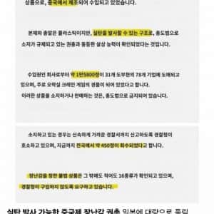 현재 민간에 '권총' 풀려서 ㅈ됐다는 일본 근황
