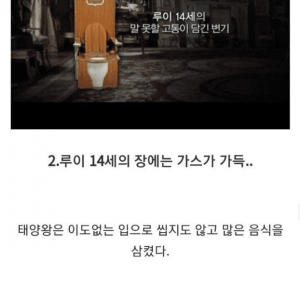 태양왕 루이 14세의 충격적인 건강 상태 