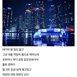 취업을 포기했다는 디시인 