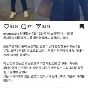 현재 뉴욕에서 난리난 동양인 성범죄자 근황