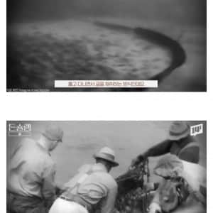서양에서 굴 값이 비싼 이유 