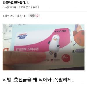 민생지원금 이거 뭐냐
