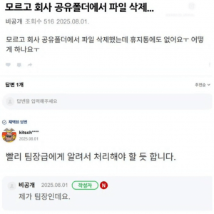 실수로 회사 공유폴더 삭제했는데요.....