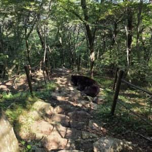 요즘 지리산 근황이라는데 ㅎ