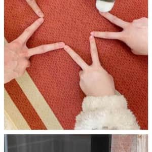 새끼 낳으면 이곳저곳 돌아다니며 자랑하는 수달