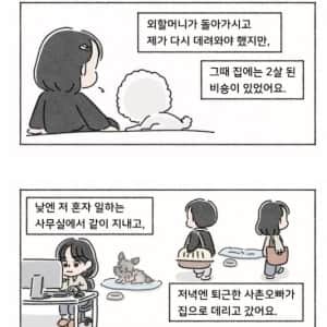 무슨 생각으로 사연을 보낸건지 작가도 댓글도 어이터지는 중인 사연툰