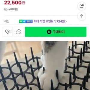 ??? : ㅈ간, 그런걸로 날 막을 수 없다냥