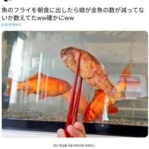 엄마의 생선 반찬이 의심스러운 딸