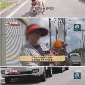 얼굴에 큰 혹이 나 앞이 제대로 보이지 않는 강아지